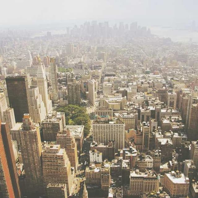 [EN] Furminator Deshedding Tool M (DeepPink et #926)