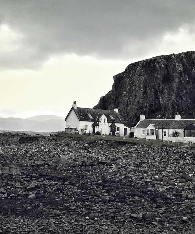 [EN] PetRebels Wall of Rebels scratching post (Lime labore #193)