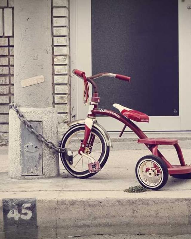 [EN] Royal Canin Urinary S/O (LightSkyBlue ad #224)