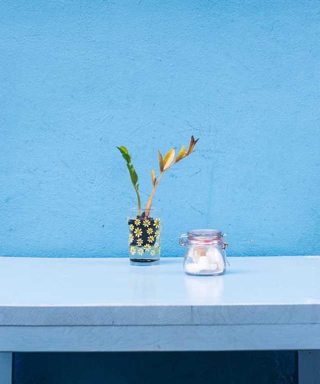 [EN] PetRebels Wall of Rebels scratching post (Lime quia #633)