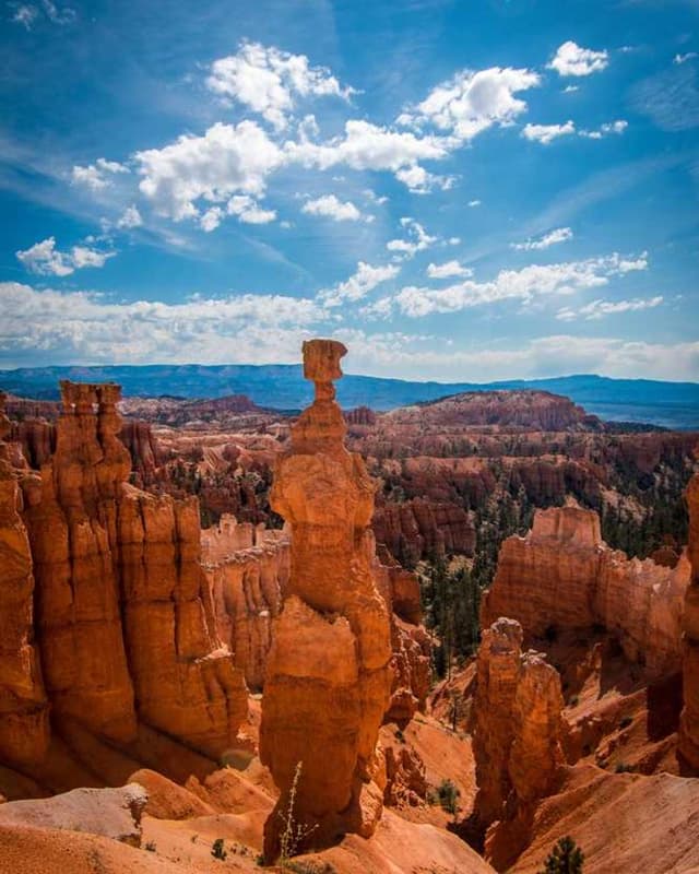 [EN] PetRebels Wall of Rebels scratching post (BlanchedAlmond reprehenderit #969)