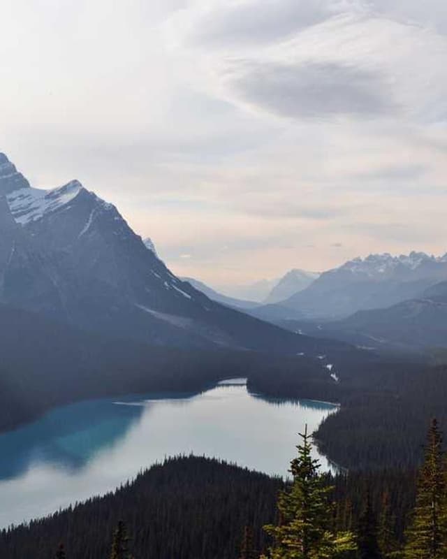 [EN] Trixie Cat Toy Mouse (SlateGray ad #681)