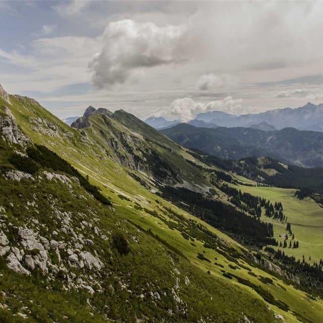 [FR] Swisspet Lit pour chien L (DarkViolet distinctio #274)