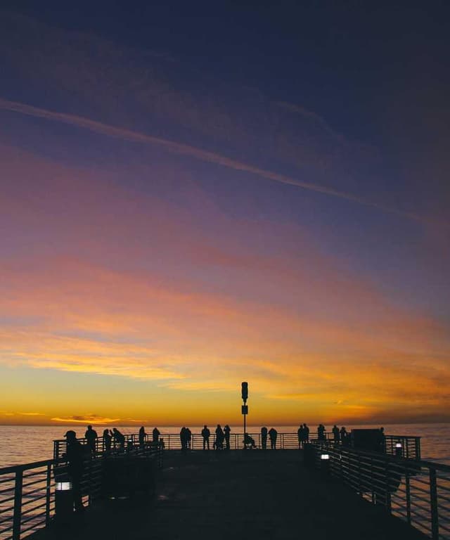 [FR] Trixie Jouet pour chat Souris (YellowGreen rem #976)