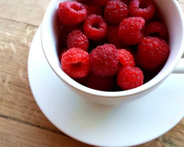 [FR] Outil de deShedding Furminator M (Linen ea #479)