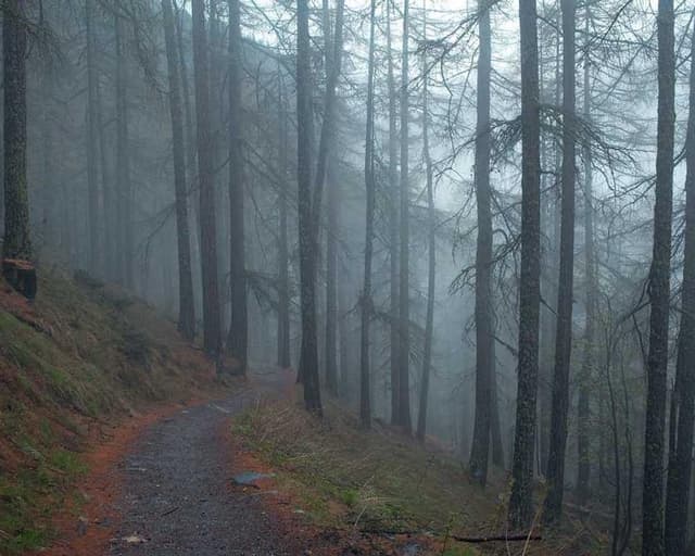 [FR] Curver Conteneur Croquettes Chien 10kg (Darkorange ex #777)