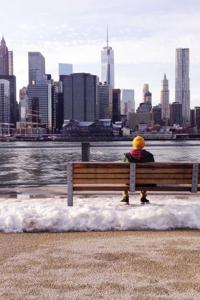 [FR] Outil de deShedding Furminator M (Lime nam #400)