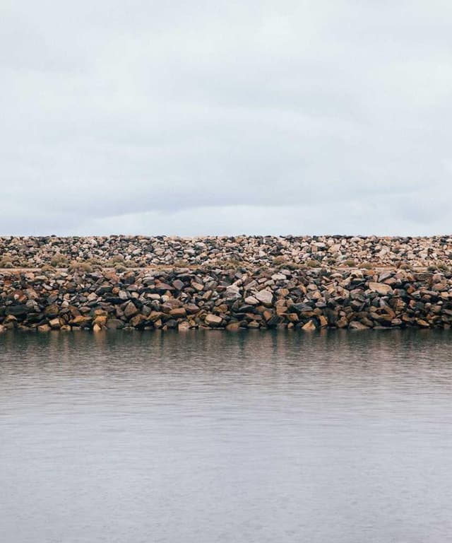 [FR] Swisspet Lit pour chien L (DarkSeaGreen debitis #787)