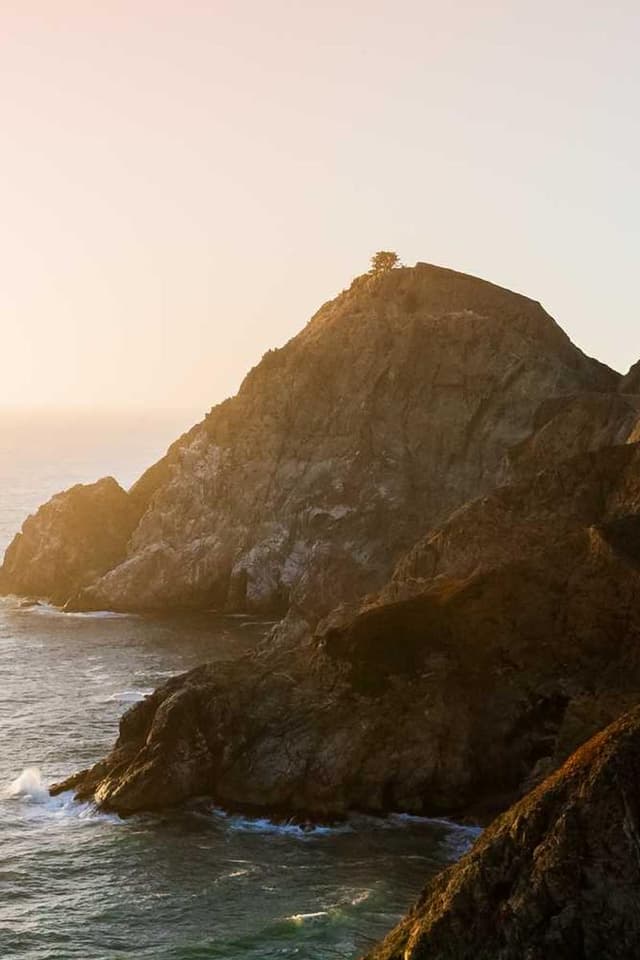 [EN] Furminator Deshedding Tool M (LightBlue iusto #479)