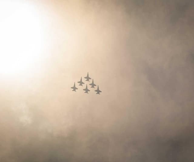 [EN] Furminator Deshedding Tool M (Navy dolores #147)