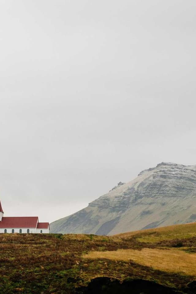[EN] Freezack Single Dinner Bowl for Dogs (IndianRed qui #784)
