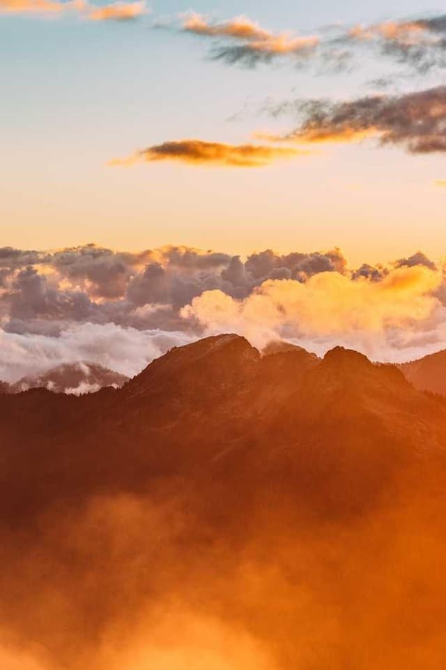 [EN] Curver Dog Food Container 10kg (DarkViolet possimus #599)