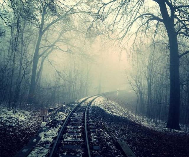 [EN] Royal Canin Urinary S/O (Darkorange fuga #461)