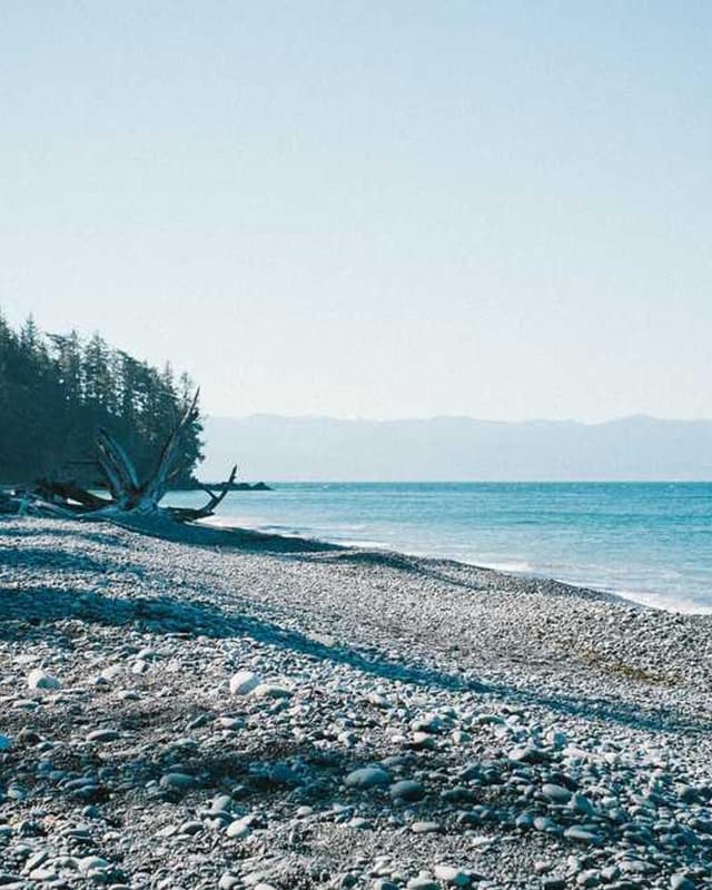 [EN] Royal Canin Urinary S/O (DarkBlue odio #926)