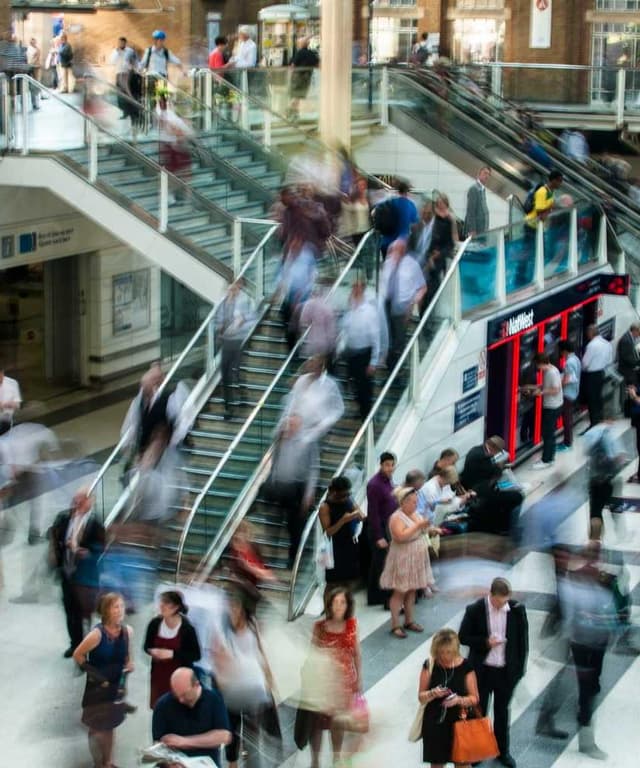 [EN] bePURE Liquid Chicken Snack (Orchid ut #407)