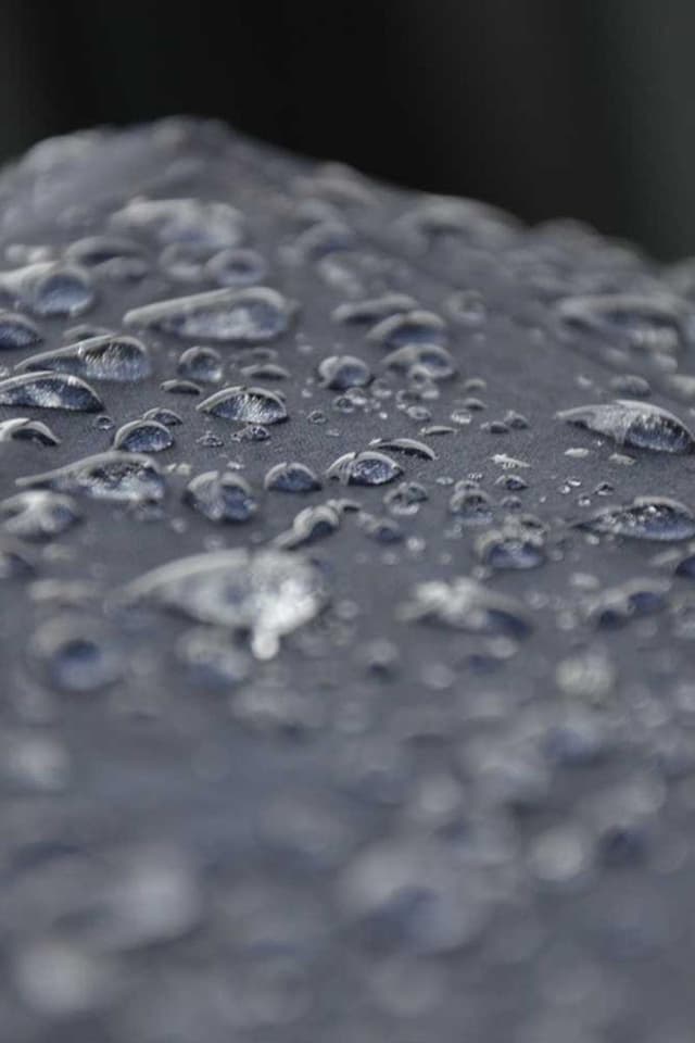 [EN] Royal Canin Urinary S/O (OliveDrab a #198)