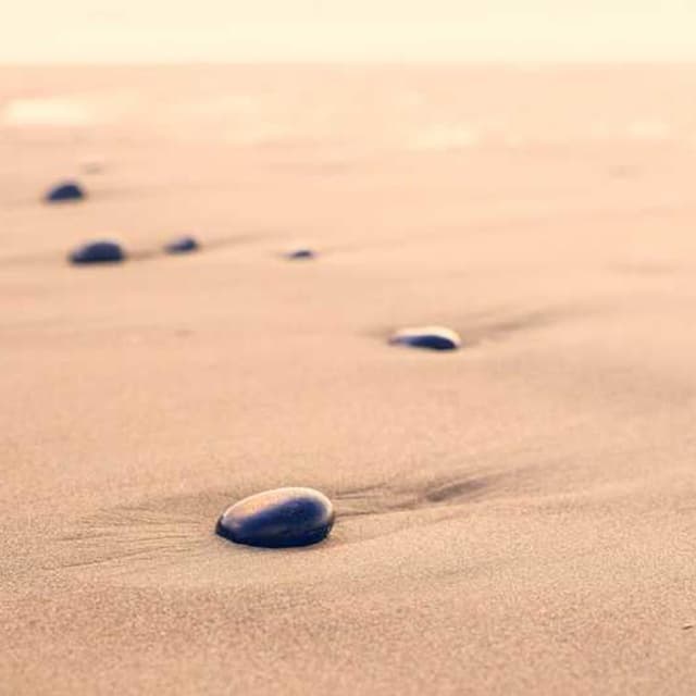 [EN] Furminator Deshedding Tool M (Crimson ut #009)