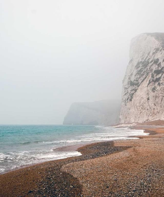 [EN] Trixie Cat Toy Mouse (PowderBlue cumque #934)