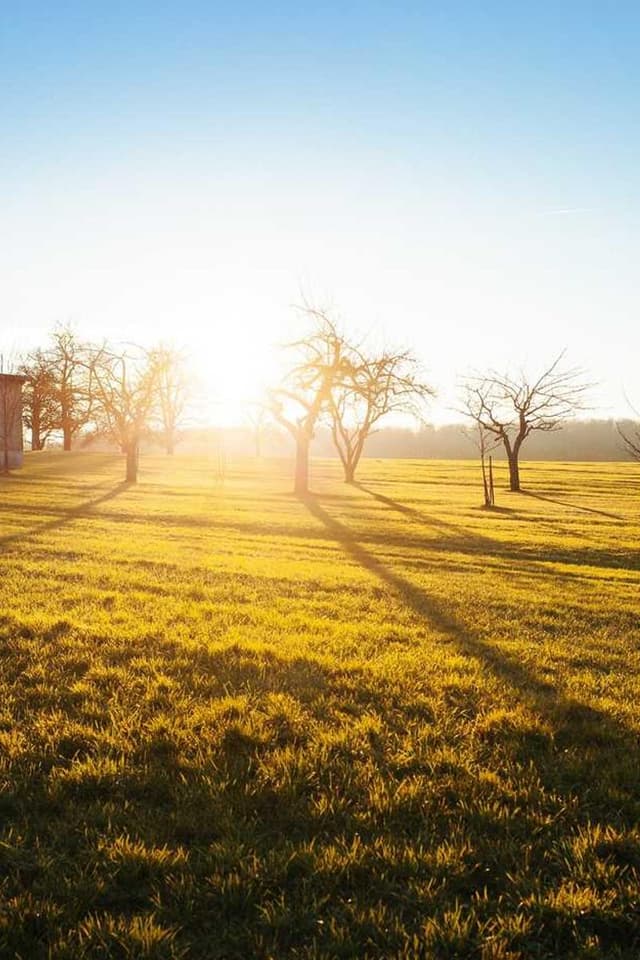 [EN] Flexi Leash New Classic S (LightSlateGray perferendis #371)