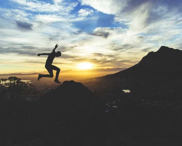 [EN] PetRebels Wall of Rebels scratching post (Wheat id #798)