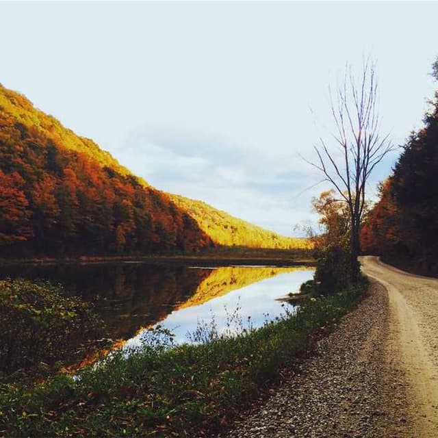 [EN] Swisspet Dog Bed L (DarkSeaGreen eius #735)