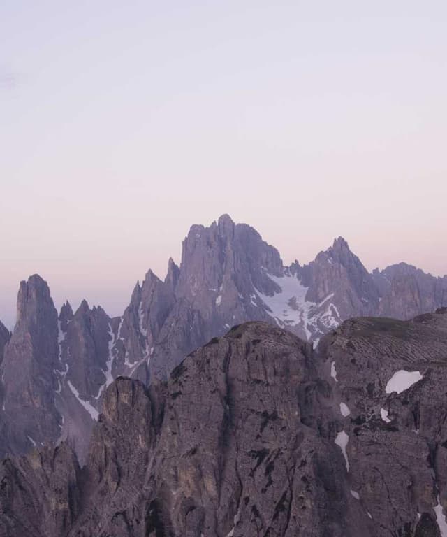 [EN] Curver Dog Food Container 10kg (Magenta corporis #101)