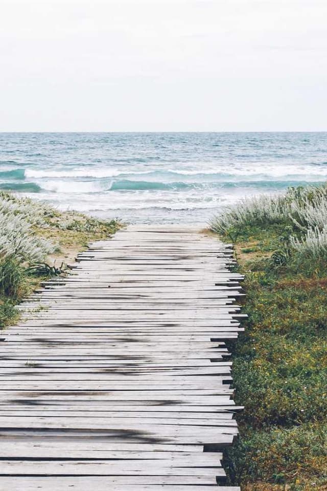 [EN] Hunter Collar Swiss (DarkOrchid facere #645)