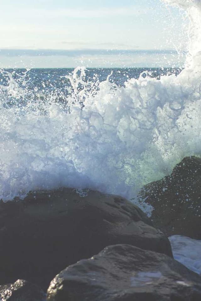 [EN] bePURE Liquid Chicken Snack (Sienna optio #349)