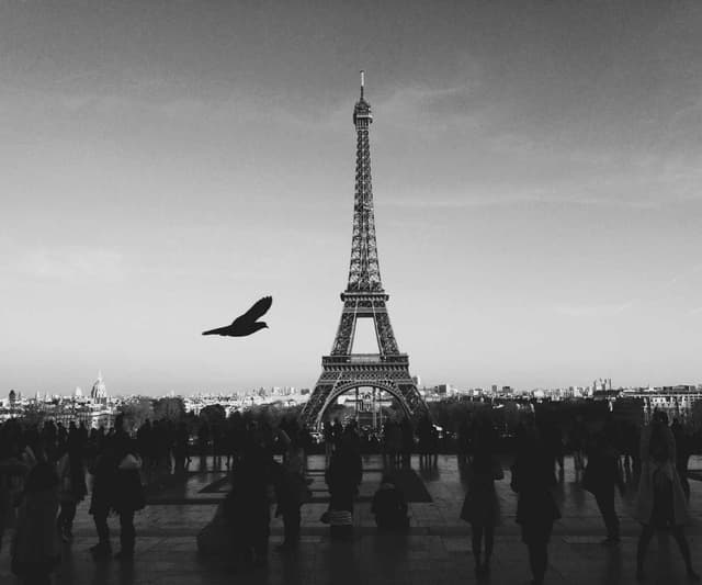 [EN] Trixie Cat Toy Mouse (DarkGoldenRod consectetur #667)