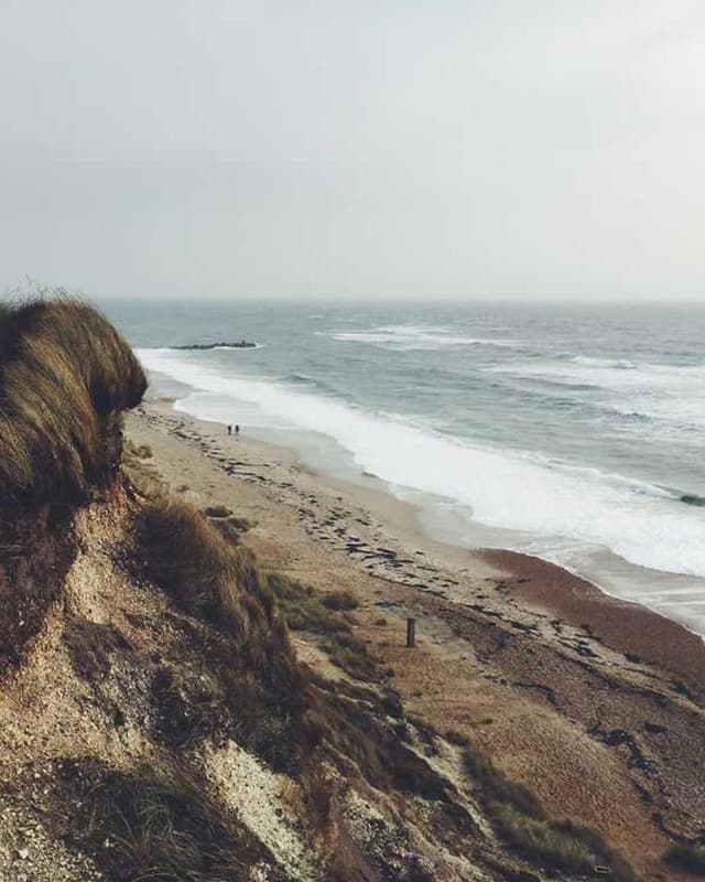 [EN] PetRebels Wall of Rebels scratching post (DarkCyan quis #959)