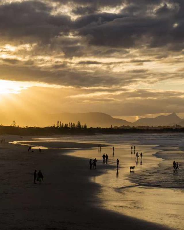 [EN] Hunter Collar Swiss (DarkViolet officiis #544)