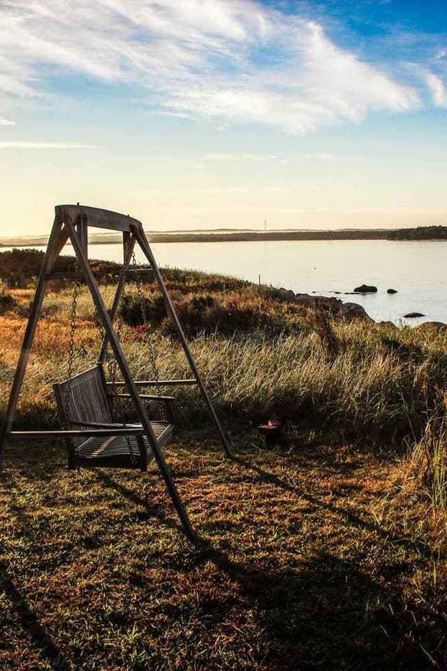 [EN] Trixie Cat Toy Mouse (DarkBlue impedit #733)