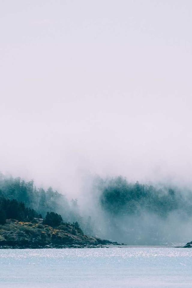 [EN] Freezack Single Dinner Bowl for Dogs (Crimson quis #081)