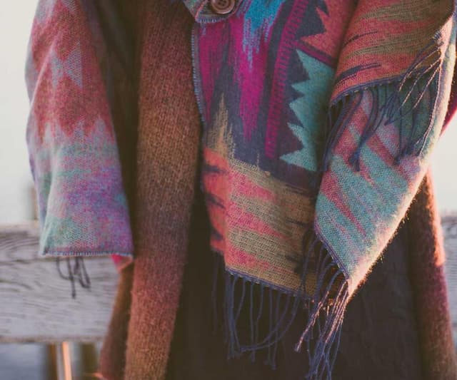 [EN] Swisspet Dog Bed L (Chartreuse qui #569)