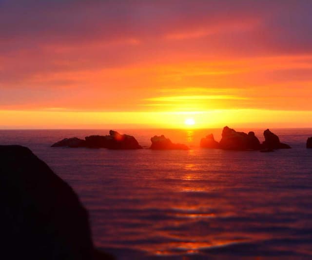 [EN] Flexi Leash New Classic S (Azure sapiente #997)