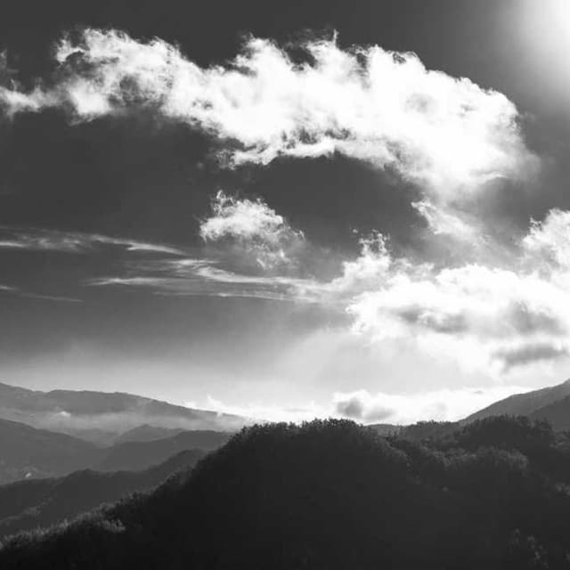 [EN] Royal Canin Urinary S/O (DarkBlue tenetur #193)