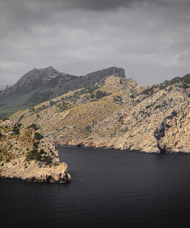 [EN] Curver Dog Food Container 10kg (Ivory quia #630)