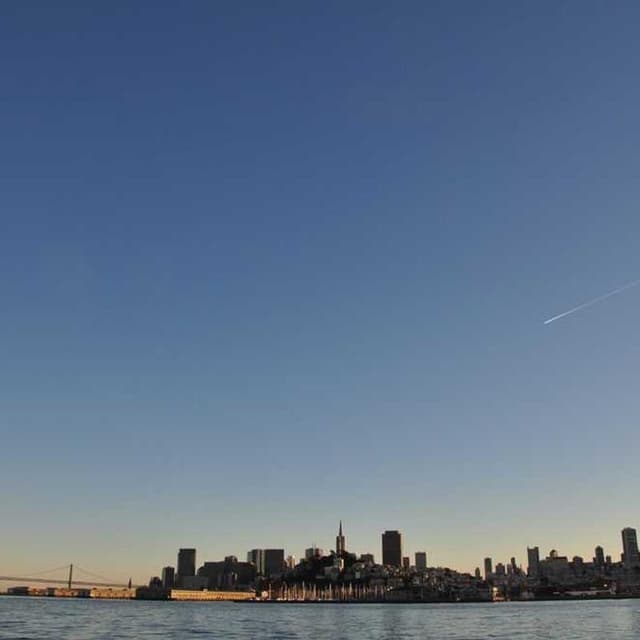 [EN] Trixie Cat Toy Mouse (Crimson ea #347)