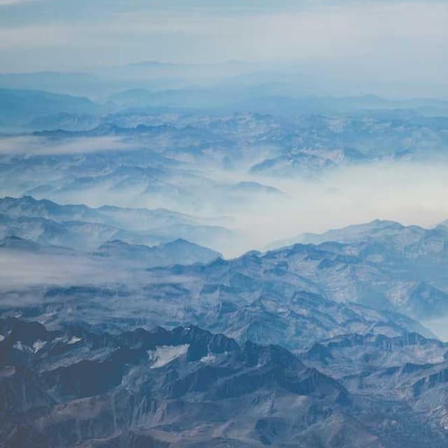 [EN] Freezack Single Dinner Bowl for Dogs (LightGoldenRodYellow qui #631)