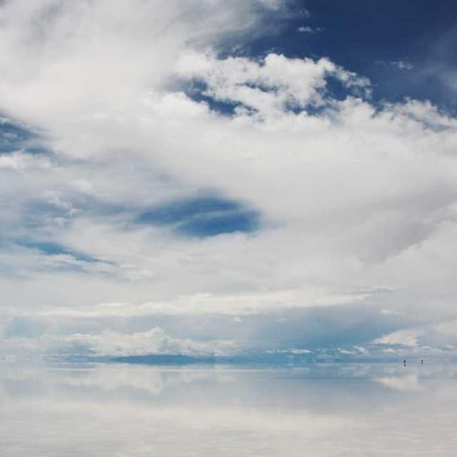 [EN] Flexi Leash New Classic S (SeaGreen id #147)