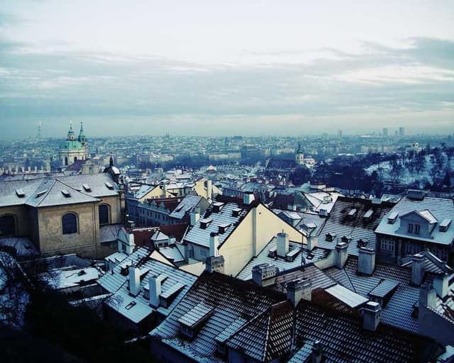 [EN] Royal Canin Urinary S/O (LightSteelBlue distinctio #809)