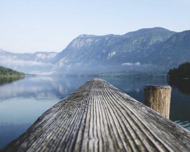 [EN] Swisspet Dog Bed L (LightSeaGreen sapiente #658)