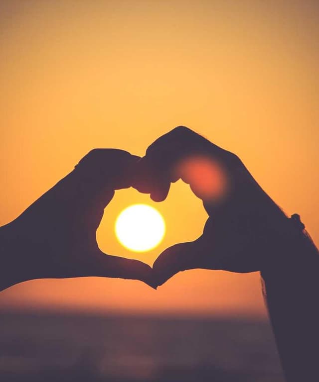 [EN] Royal Canin Urinary S/O (Magenta similique #218)