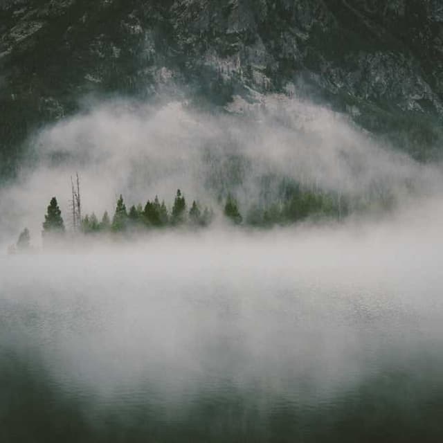 [EN] Royal Canin Urinary S/O (Moccasin voluptatem #691)