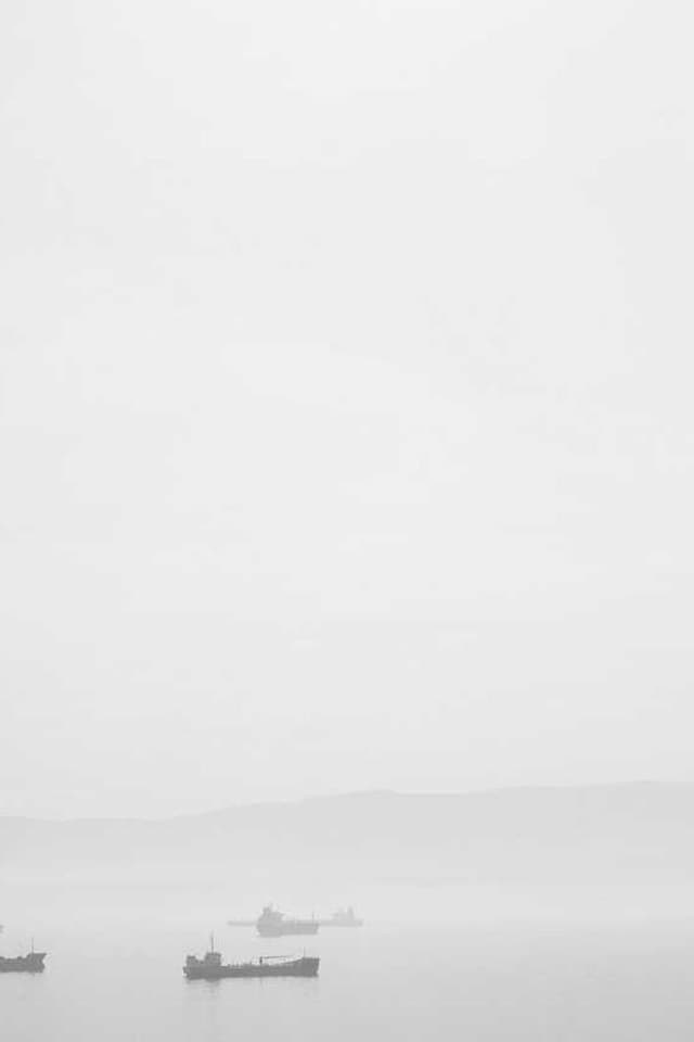 [EN] Freezack Single Dinner Bowl for Dogs (DarkSlateGray sequi #090)