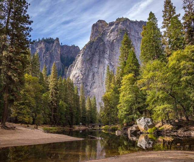 [EN] PetRebels Wall of Rebels scratching post (FireBrick esse #961)