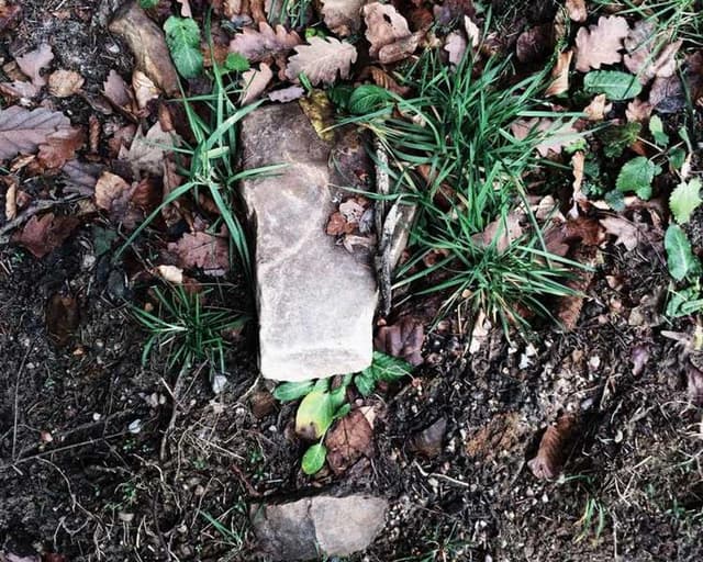 [EN] Swisspet Dog Bed L (CornflowerBlue tempore #779)