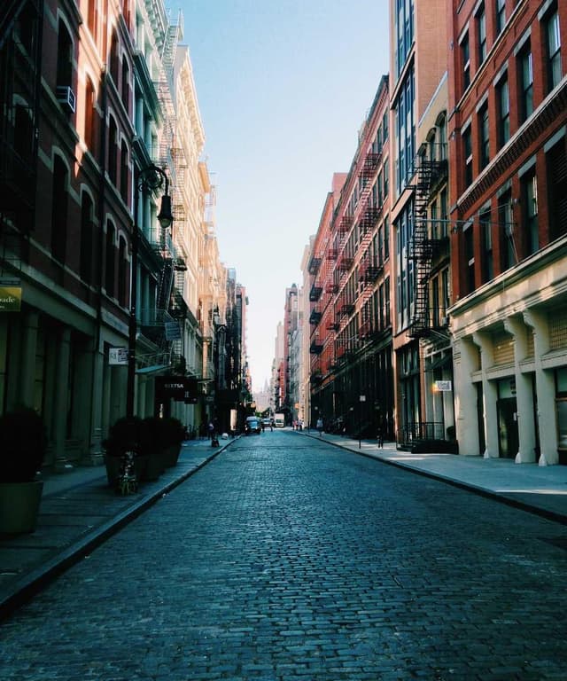 [DE] PetRebels Wall of Rebels Kratzbaum (FloralWhite facere #162)