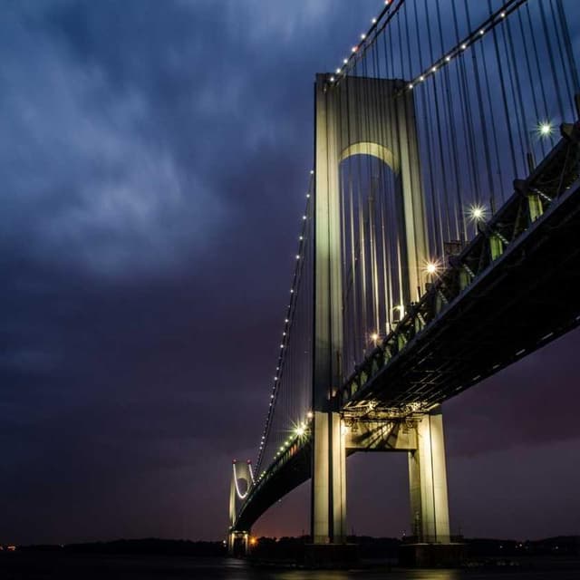 [DE] Hunter Halsband Swiss (Snow amet #046)