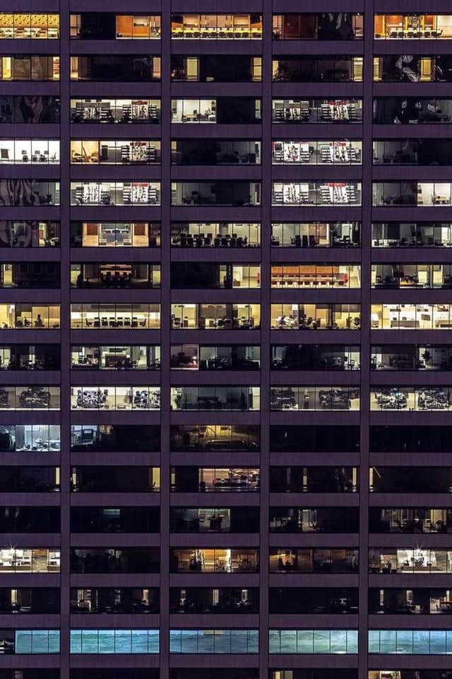 [DE] Trixie Katzenspielzeug Maus (LawnGreen distinctio #951)